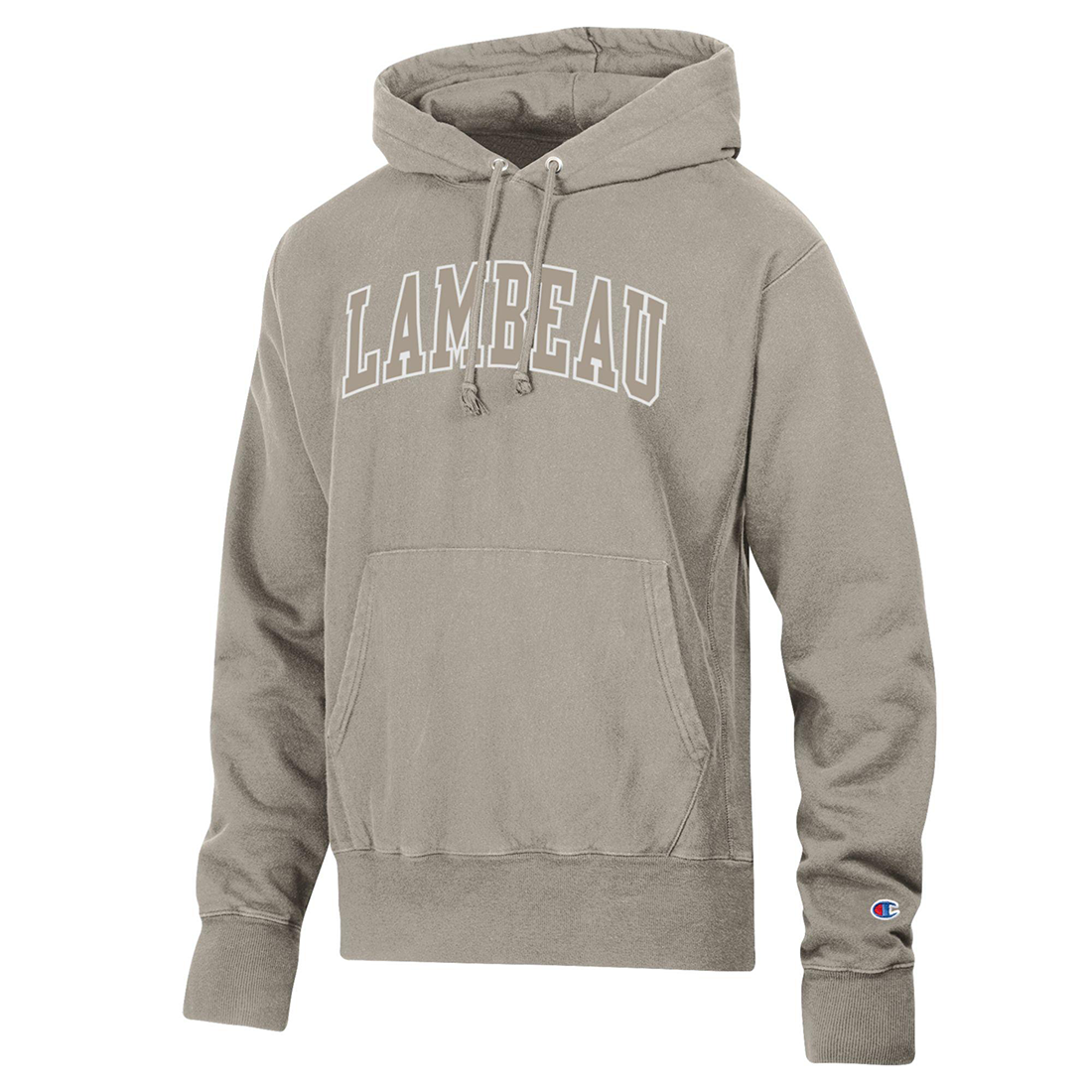 Lambeau Field Champion Reverse Weave Tonal Hoodie