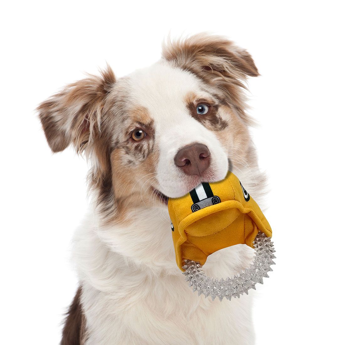 Packers Plush Helmet Dental Pet Toy