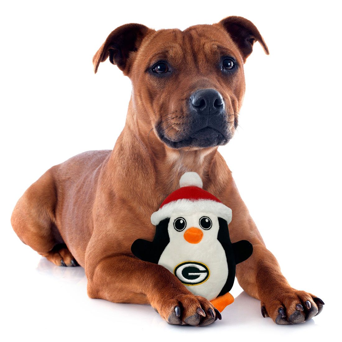 Packers Plush Penguin Pet Toy
