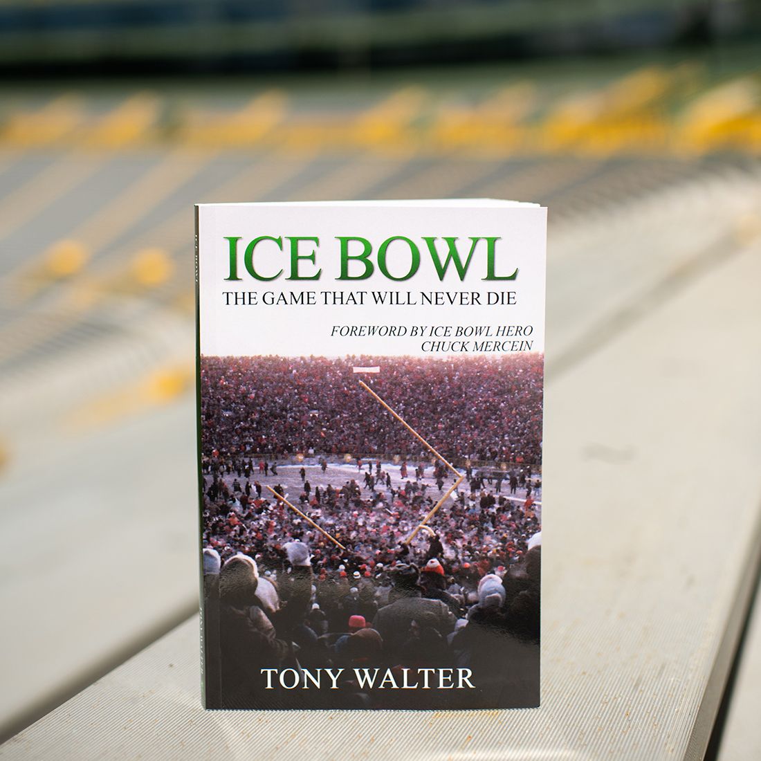 Ice Bowl: The Game That Will Never Die 3 Ice Bowl: The Game That Will Never Die
