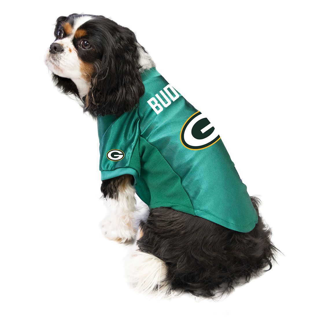Packers Personalized Pet Jersey 1 Packers Personalized Pet Jersey