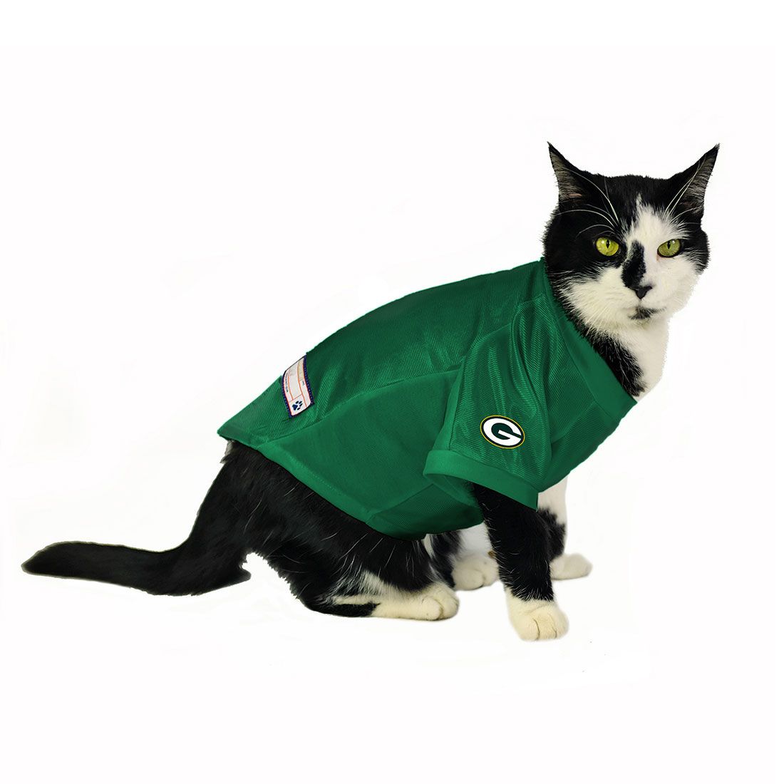 Packers Personalized Pet Jersey 2 Packers Personalized Pet Jersey