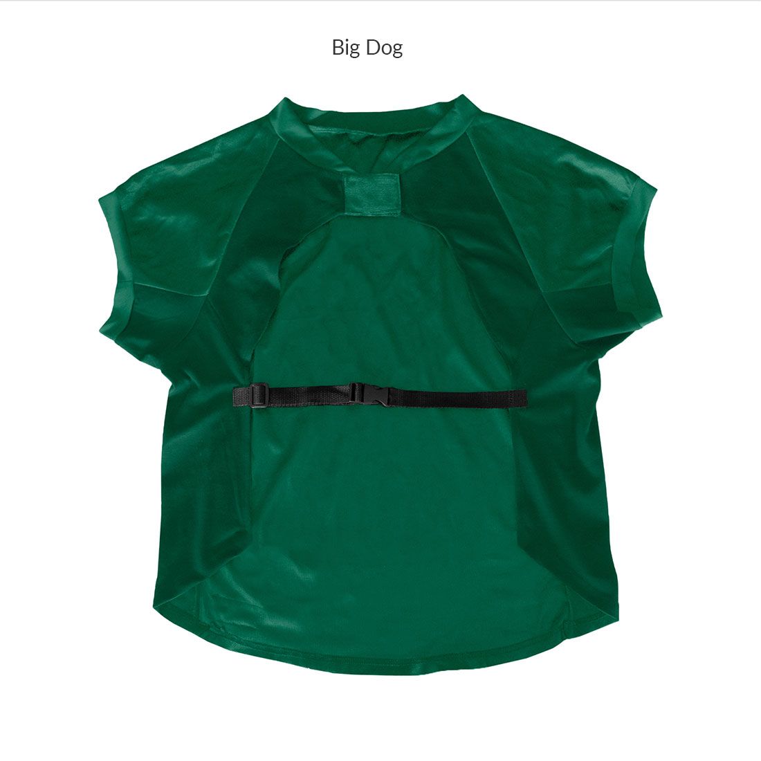 Packers Personalized Pet Jersey 5 Packers Personalized Pet Jersey